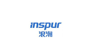 inspur