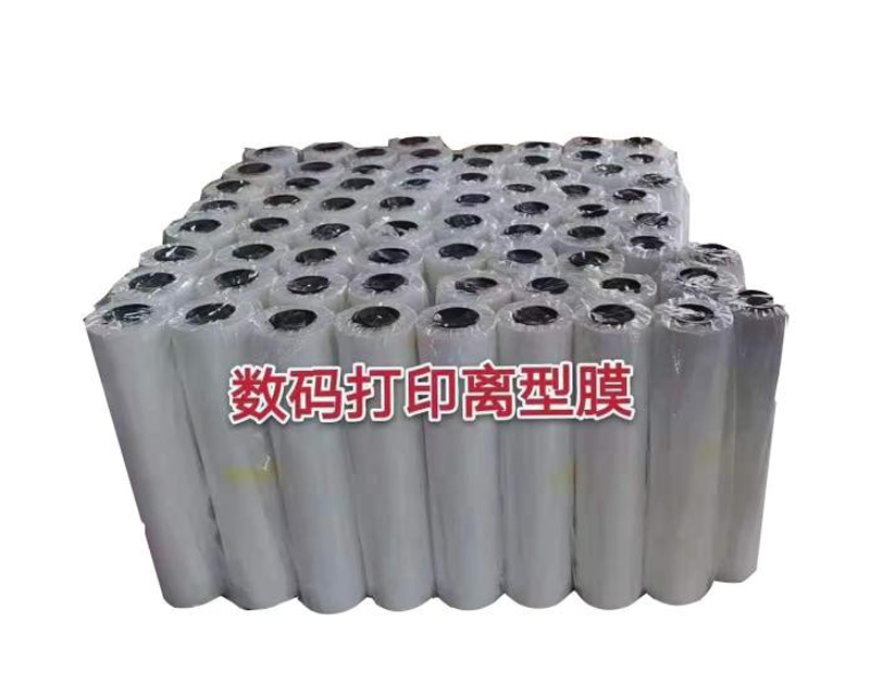 PET film